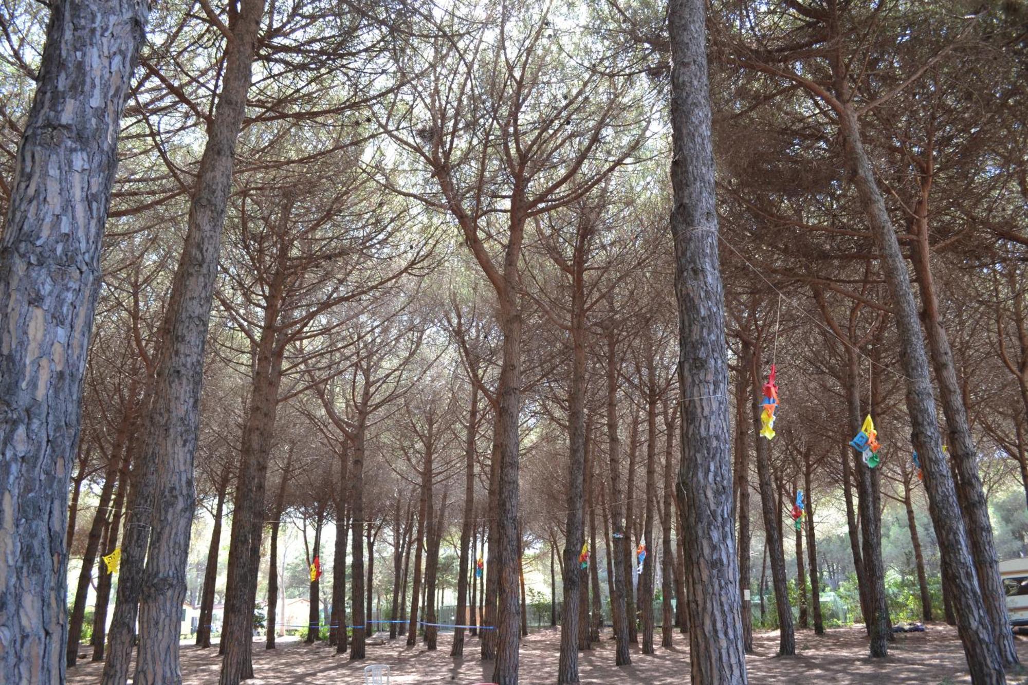 Campsite Giannella Orbetello