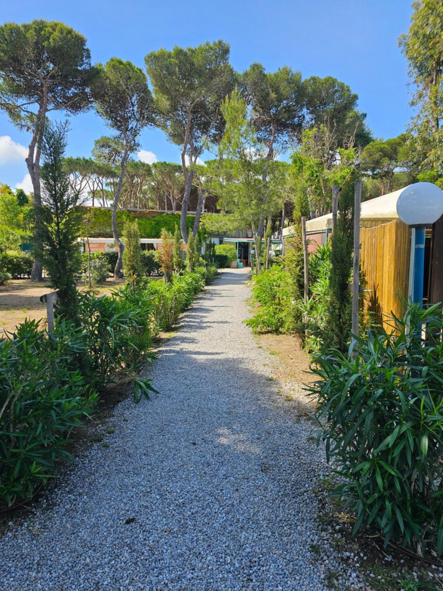 Giannella